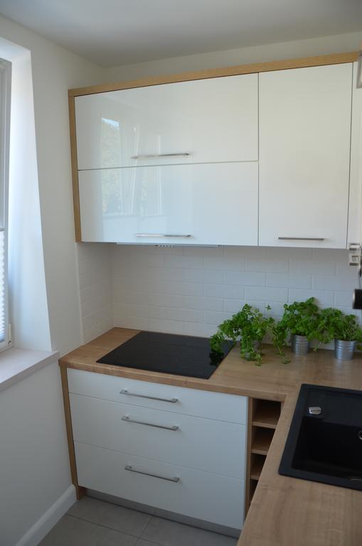Apartament Na Starowce Grobla I Gdańsk Værelse billede